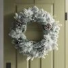 28" Flocked Mixed Greenery With Berries And Pinecones Artificial Christmas Wreath - Wondershop™ 2 28" Flocked Mixed Greenery With Berries And Pinecones Artificial Christmas Wreath - Wondershop™ -Wondershop Sales GUEST 0363f1c1 a2b9 4599 ada8 e434d96369c3