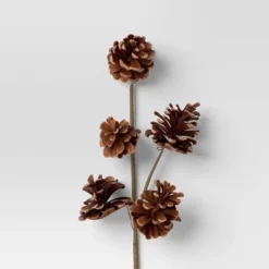 4pc Christmas Pick Set 2 Iced Pinecone 2 Red Berry With Pinecones - Wondershop™ 6 4pc Christmas Pick Set 2 Iced Pinecone 2 Red Berry With Pinecones - Wondershop™ -Wondershop Sales GUEST 0da78f5f c518 4aad be7b 34dde7e949b2