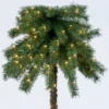 6ft Pre-Lit Artificial Palm Tree Clear Lights - Wondershop™ -Wondershop Sales GUEST 3770120e 0e19 4f74 a04e ceb16540d0b2