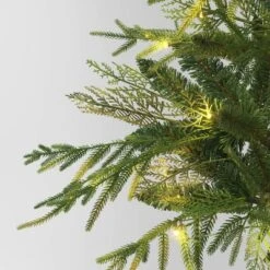 24" Pre-Lit Christmas Norfolk Cedar Artificial Greenery With Ground Stake - Wondershop™ -Wondershop Sales GUEST 517b159a ab98 4251 ad4a 9a78c2d8852a