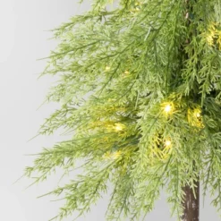 Pre-Lit Potted Balsam Artificial Christmas Tree - Wondershop™ -Wondershop Sales GUEST 5d9ddf88 42c8 4d7d 88ad 8a538f9a5403