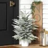 3' Pre-Lit Potted Flocked And Glittered Norfolk Artificial Christmas Tree - Wondershop™ 2 3' Pre-Lit Potted Flocked And Glittered Norfolk Artificial Christmas Tree - Wondershop™ -Wondershop Sales GUEST 6f9df63f d6f9 48b6 82ce 43fbb803932e