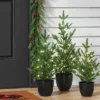 Pre-lit Potted Balsam Fir Mini Artificial Christmas Tree Set Warm White Lights - Wondershop™ -Wondershop Sales GUEST af46b757 b950 4a1d ad17 04fdeb7728bd