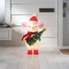 Incandescent Tinsel Mouse Christmas Novelty Sculpture Light With Clear/Multicolor Light Bulb - Wondershop™ -Wondershop Sales GUEST d0871e27 6bd8 4346 8ac2 1f7f18898994